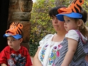 FWZoo_ElephantVoyeurs (4)